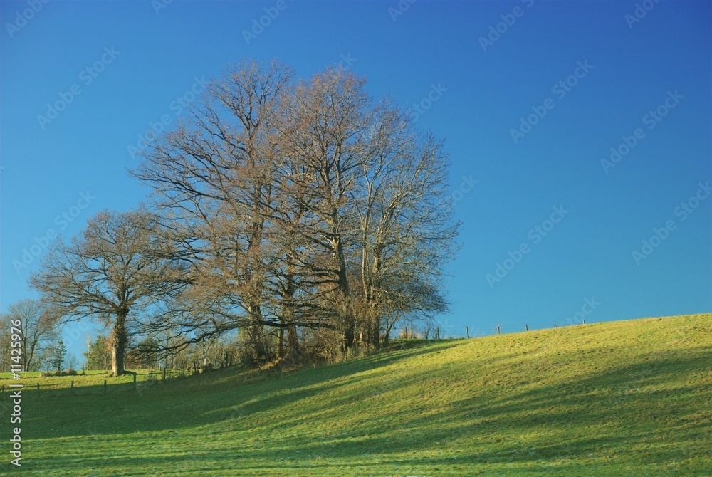 Pré auvergnat Pré auvergnat