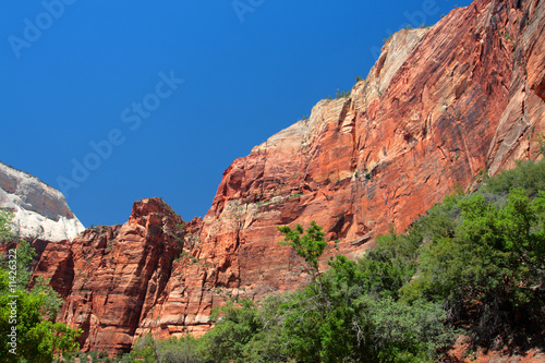 Zion National Park, USA..