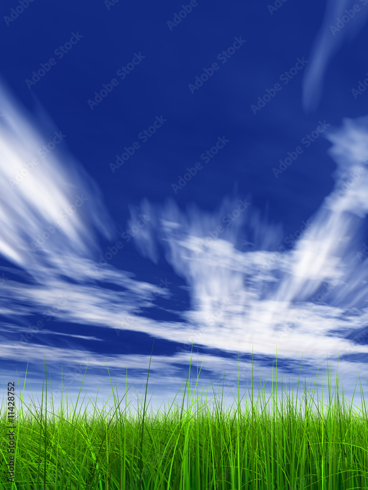 3d grass with perfect details and blue sky and clouds 3d grass with perfect details and blue sky and clouds