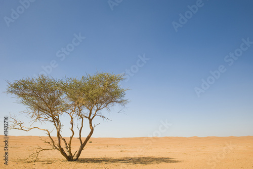 Wahiba Desert Oman