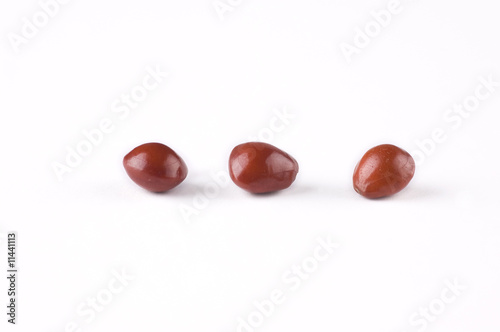 isolated saga seeds