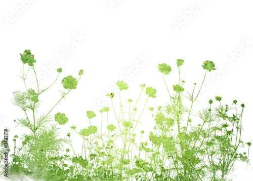 flower abstract