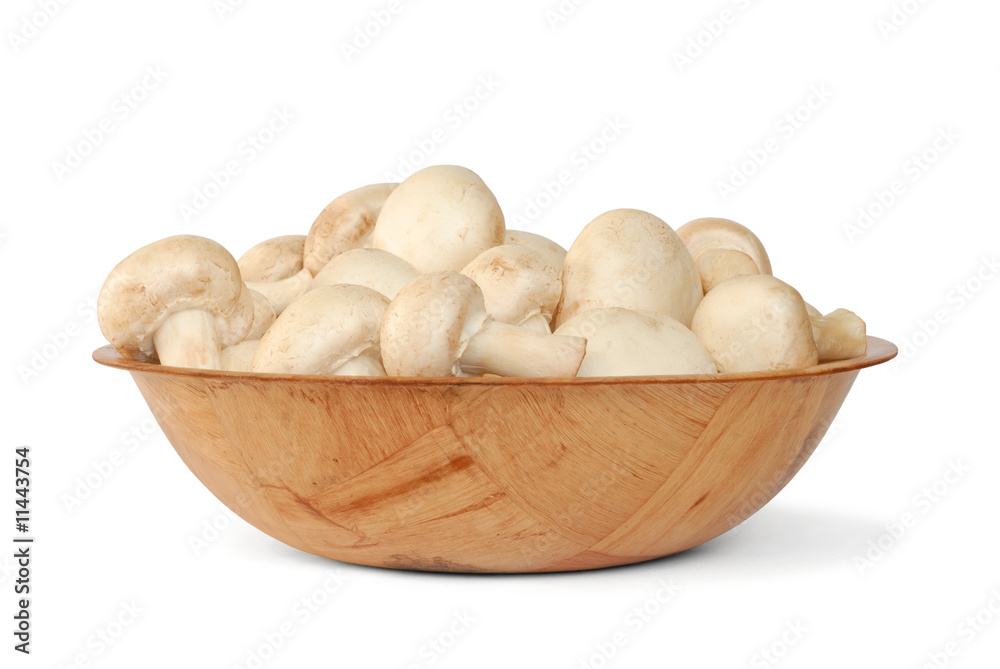 Mushrooms Mushrooms