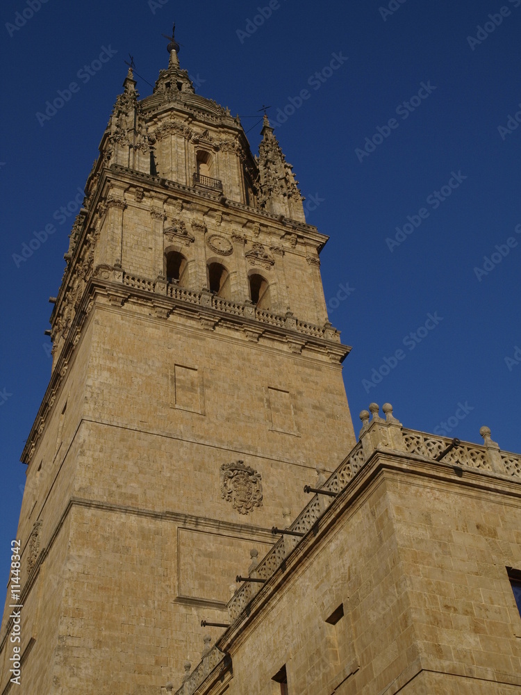 Torre de la catedral nueva de Salamanca