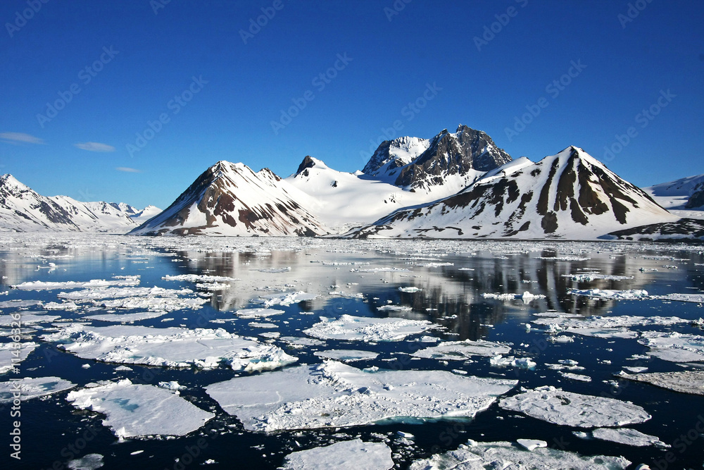 Eisschollen auf dem Hornsundfjord