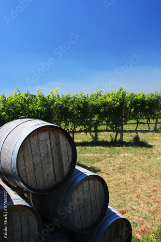 barrels of wine photo