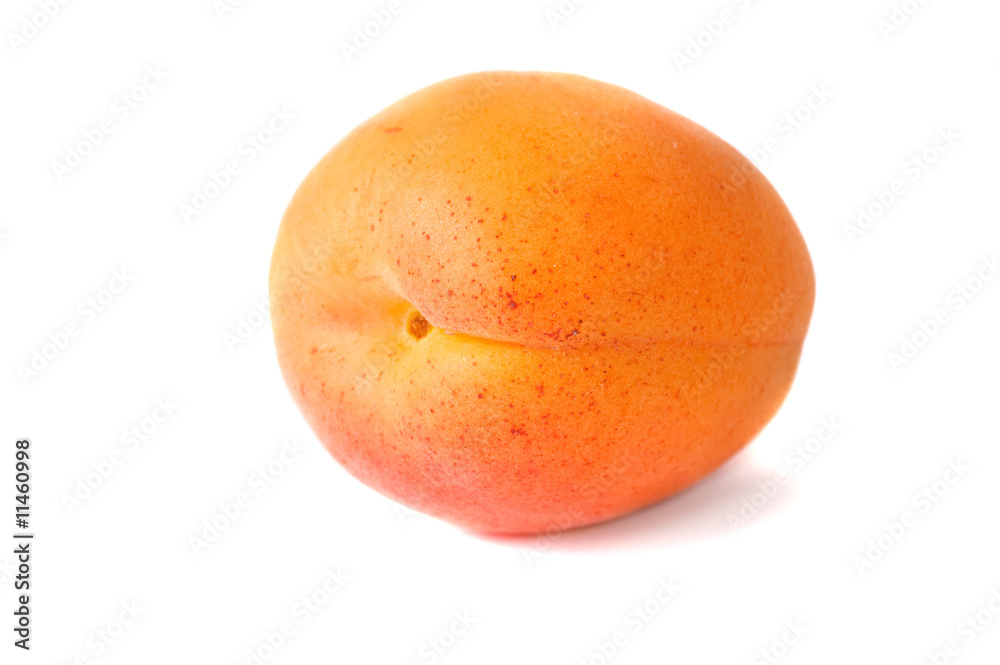 apricot isolated on white apricot isolated on white