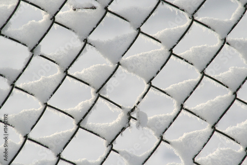 wire netting in winter