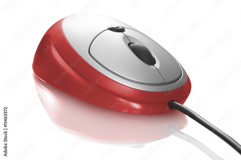 mouse isolated mouse isolated