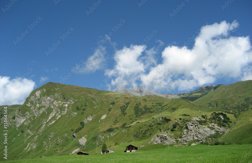 Fototapeta premium auf der alp