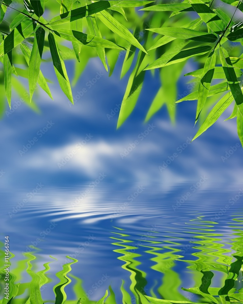 Obraz premium Bamboo and sky reflected in the water; Zen atmosphere.