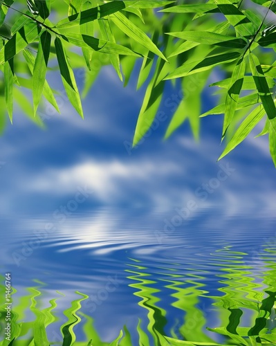 Fototapeta Naklejka Na Ścianę i Meble -  Bamboo and sky reflected in the water; Zen atmosphere.