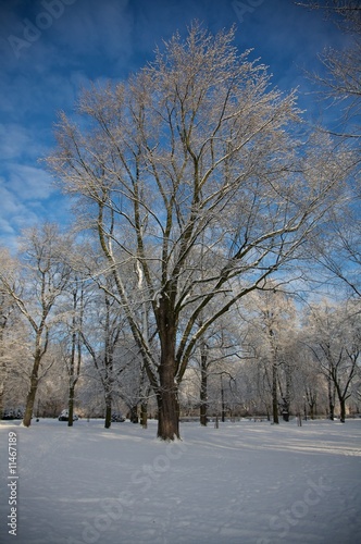 winter park 7