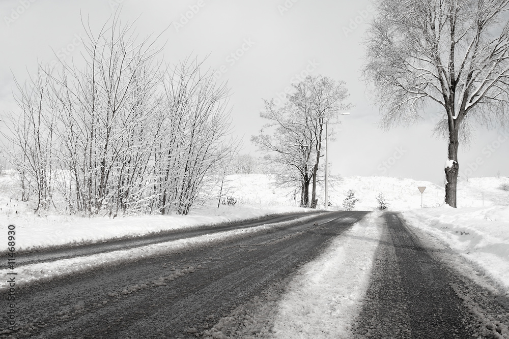 Obraz premium Winter Road