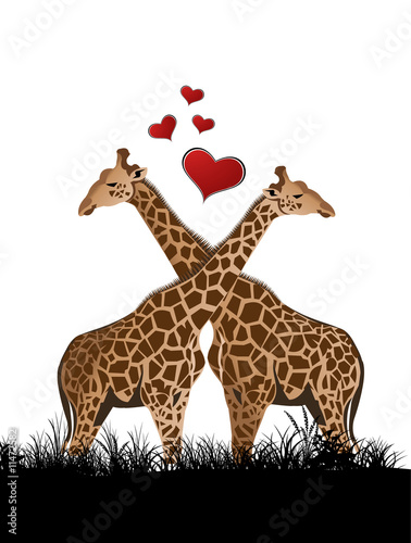 Giraffe in love