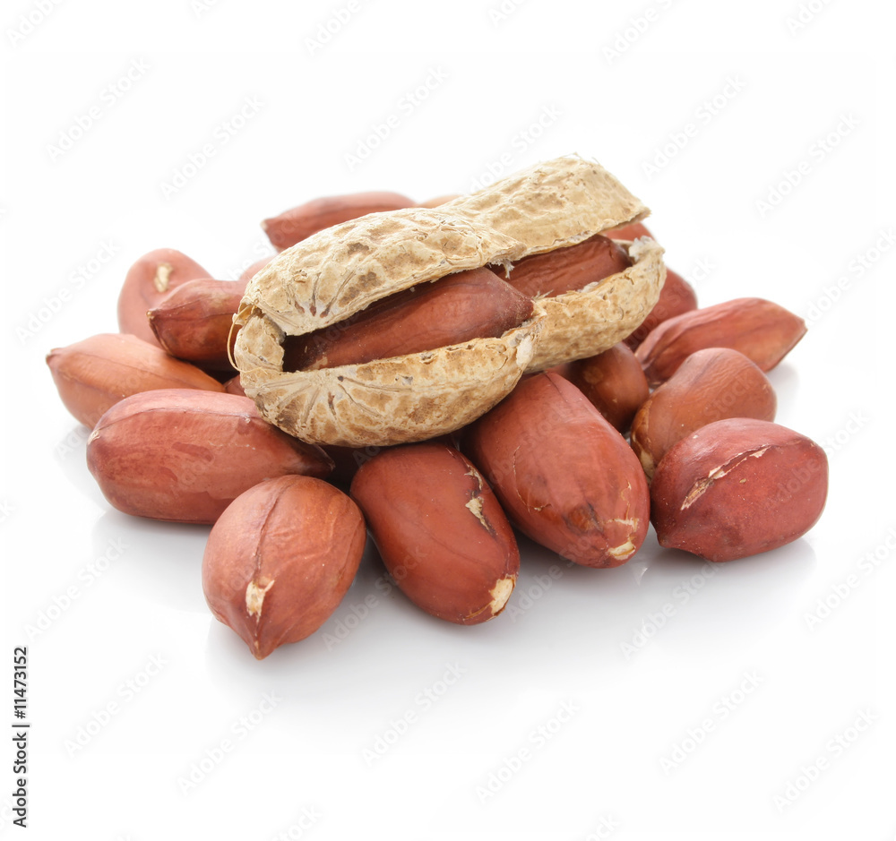 dried peanut fruits isolated on white dried peanut fruits isolated on white