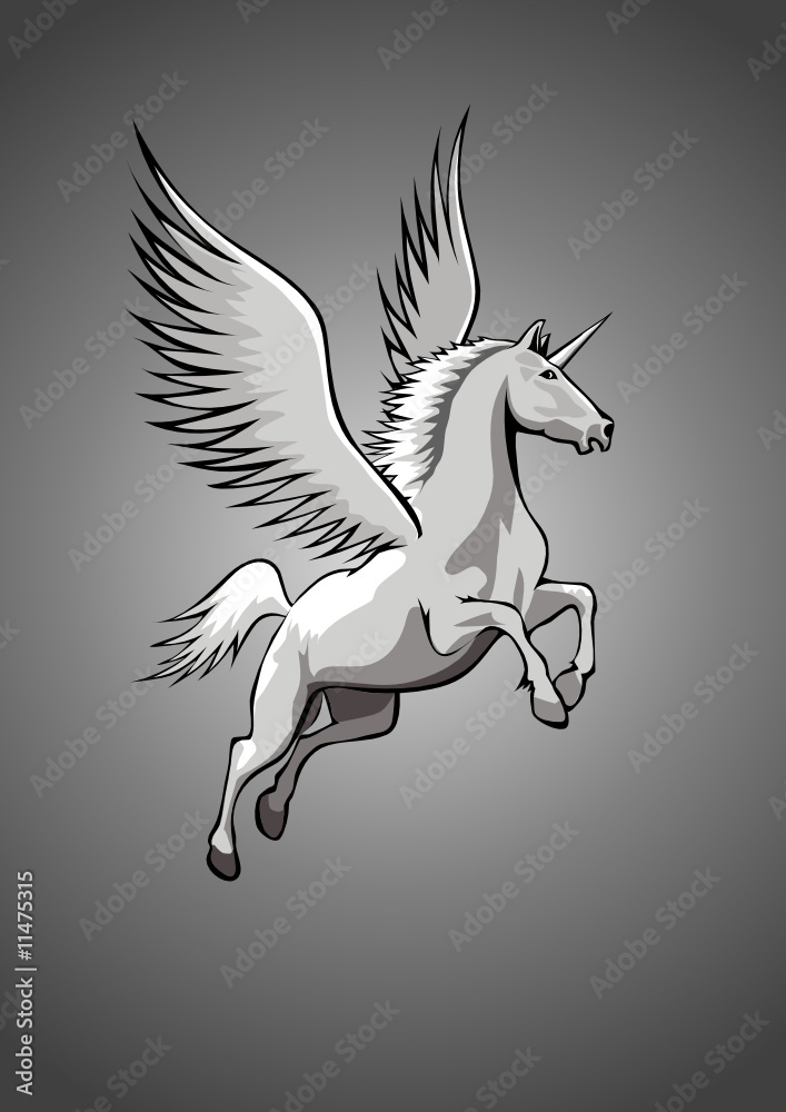 Das fliegende Einhorn , schwarzweiss