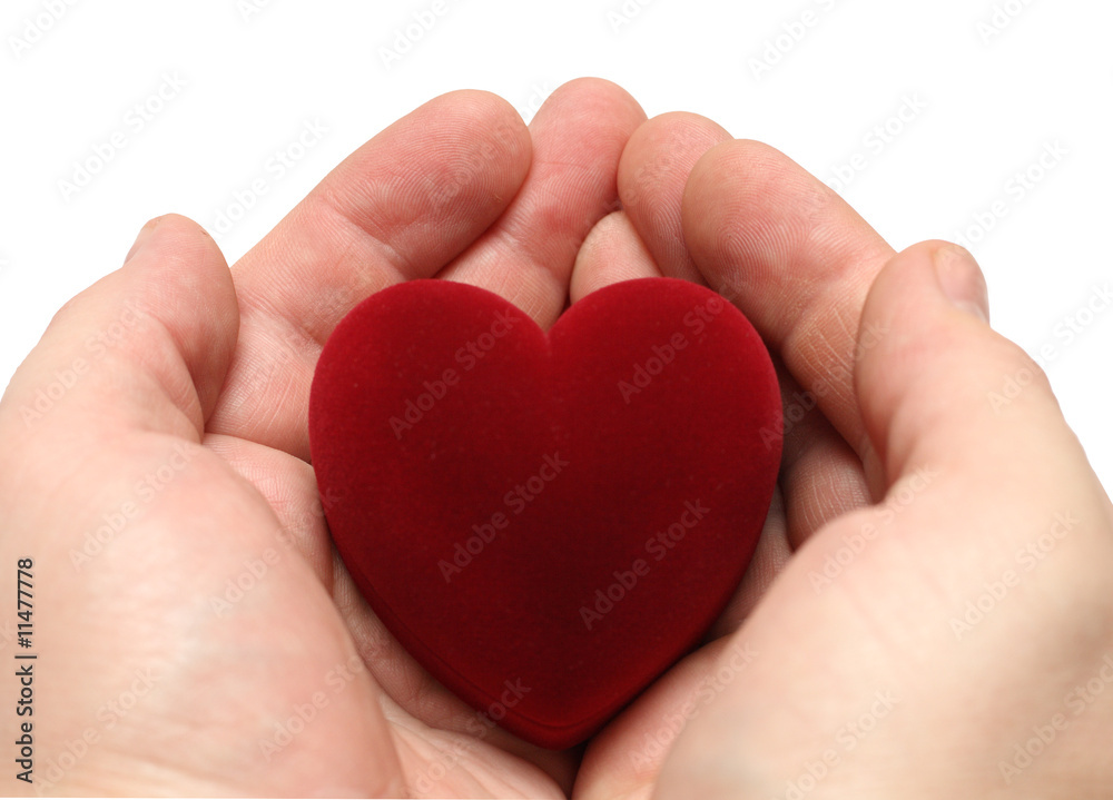 Fototapeta premium man's hands with heart