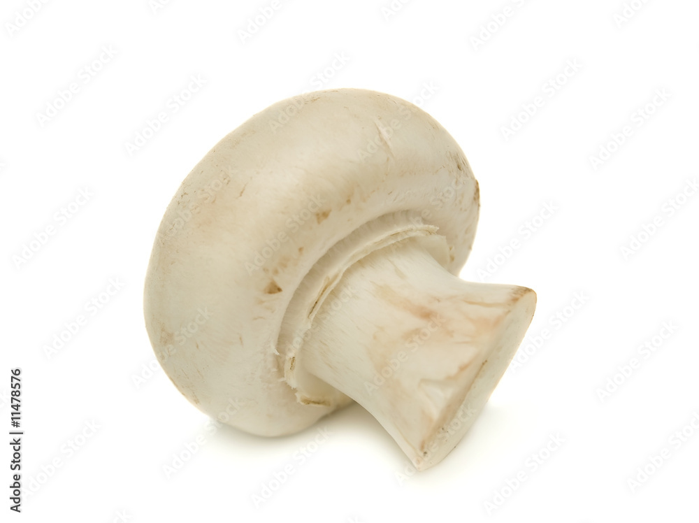 Fresh mushrooms isolated on a white background Fresh mushrooms isolated on a white background