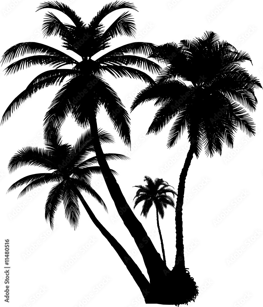 4 vector tropical palms and trees 4 vector tropical palms and trees