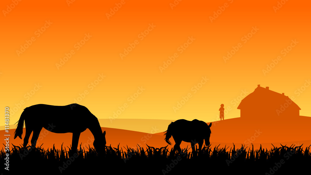 Obraz premium two horses on pasture at sunset in summer
