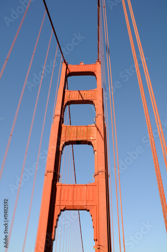 Golden Gate © Black Crow