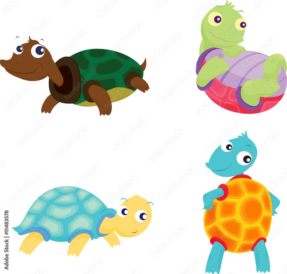 Obraz premium turtles