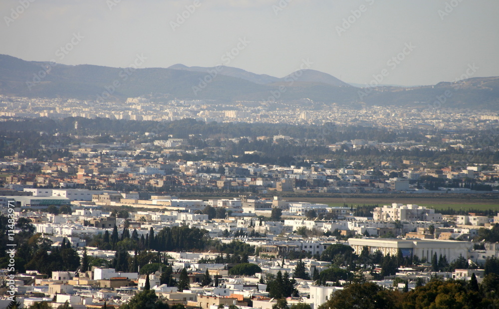 Obraz premium vue sur tunis
