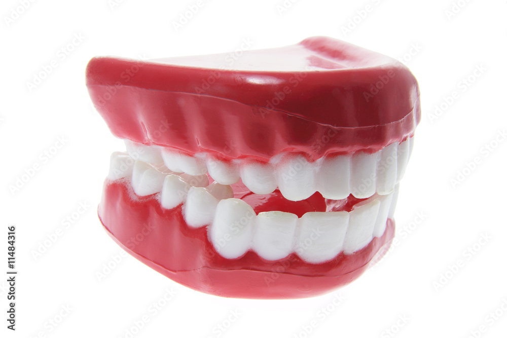 Obraz premium Artificial Dentures