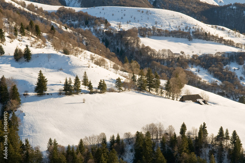 Chalet dans les montagnes du cantal