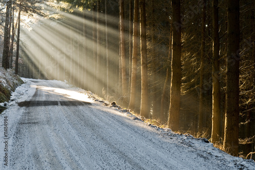 Rayon de soleil sur route d'hiver