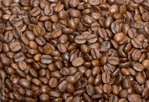 Coffee Beans Texture