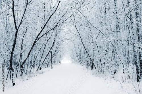 Winter White Alley