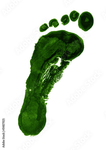 фотографія Green carbon footprint