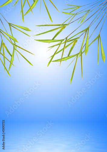 Bamboo Leaves over Water
