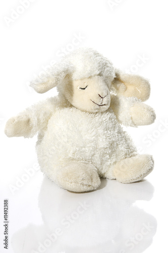 Kuscheltier