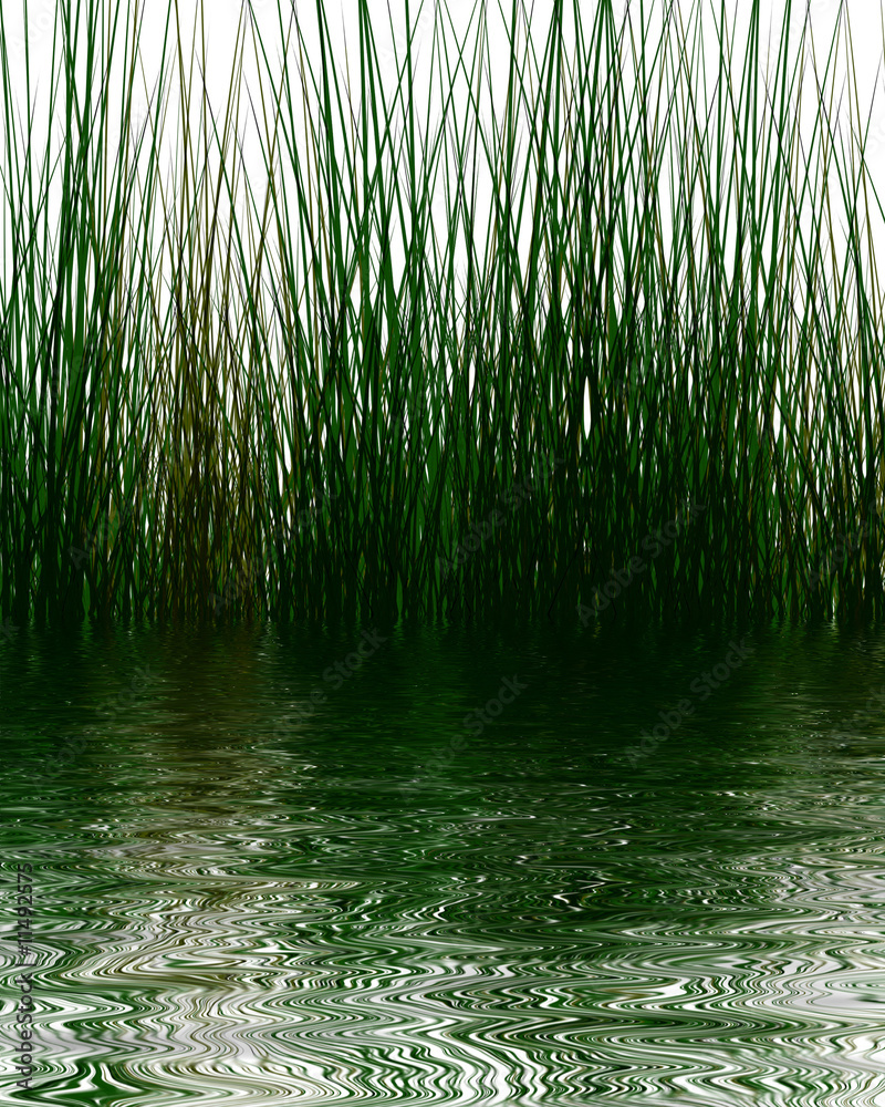 Obraz premium Grass elements