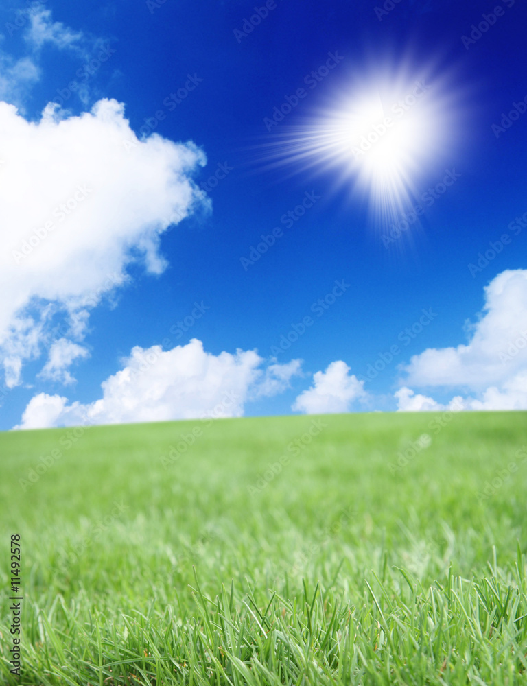 Obraz premium verte prairie sous un beau ciel bleu