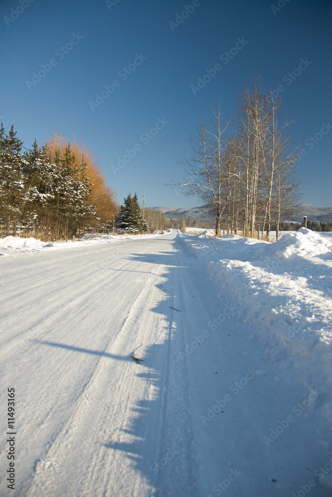 Obraz premium Long Winter