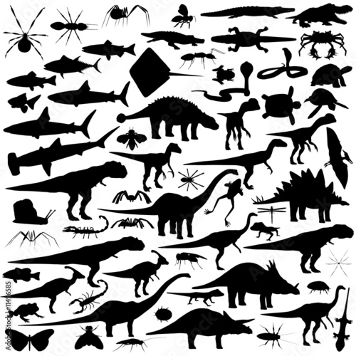 Fish bugs and reptiles