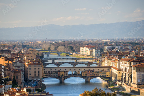 Panoramic view of Florence. #11498982