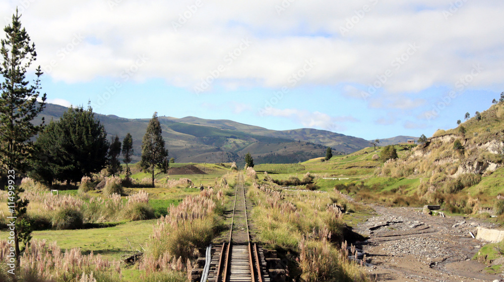 Railroad tracks in the wild