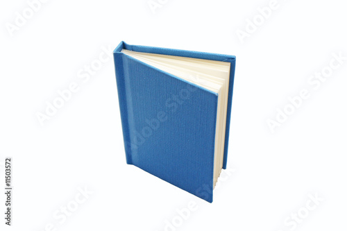 little blue book