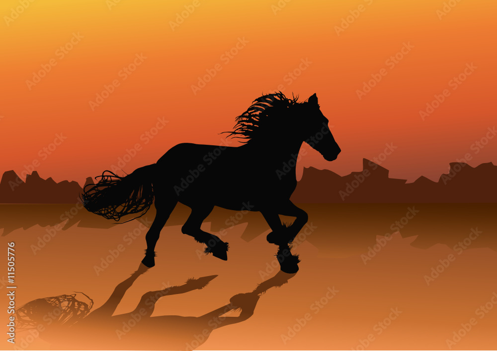 wild horse wild horse
