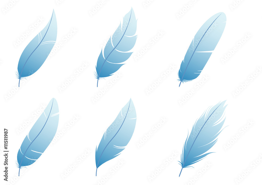 feather feather
