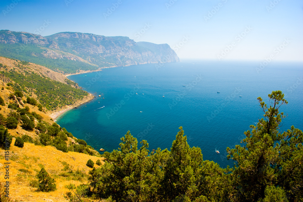 Fototapeta premium Sea coastline