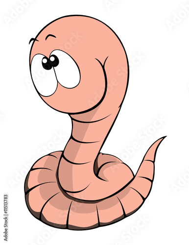 Worm