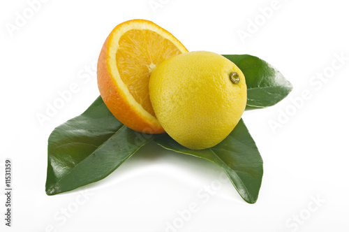 Orange and Lemon 4
