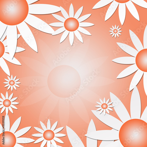 White Daisies on an Orange Background