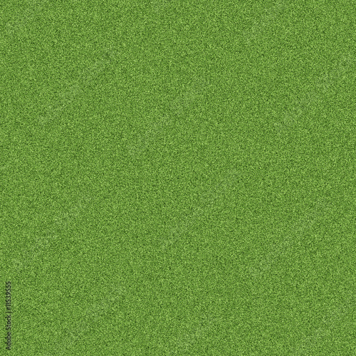 Grass texture
